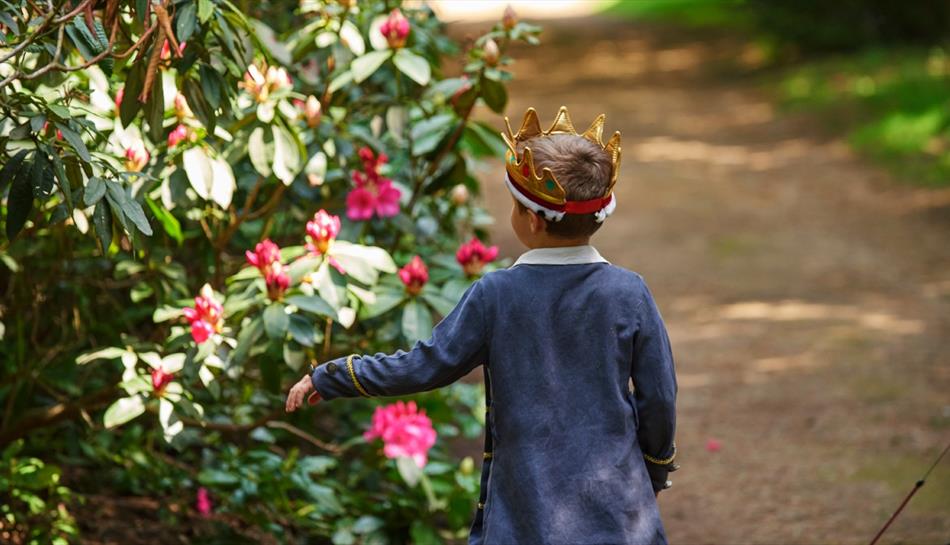 Young boy in a crown walking through Claremont Landscape Garden