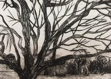 An etching of a tree