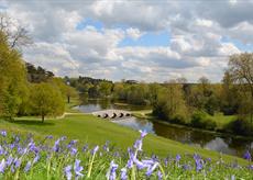 Painshill - Five Arch bridge with bluebells