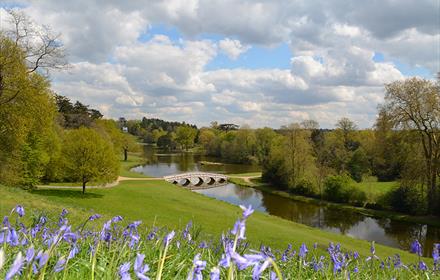 Painshill - Five Arch bridge with bluebells