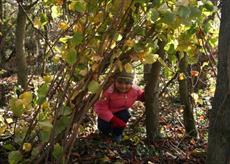 Hunt for bugs in our woodland