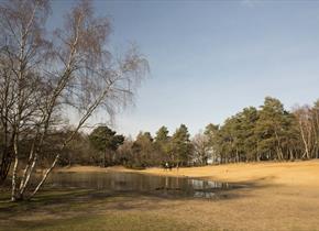 Horsell Common Sandpits