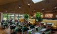 Interior of the Terrace Restaurant, RHS Garden Wisley,   Credit: RHS / Paul Debois
