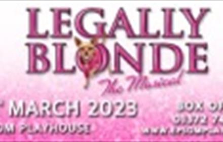Legally Blonde Banner