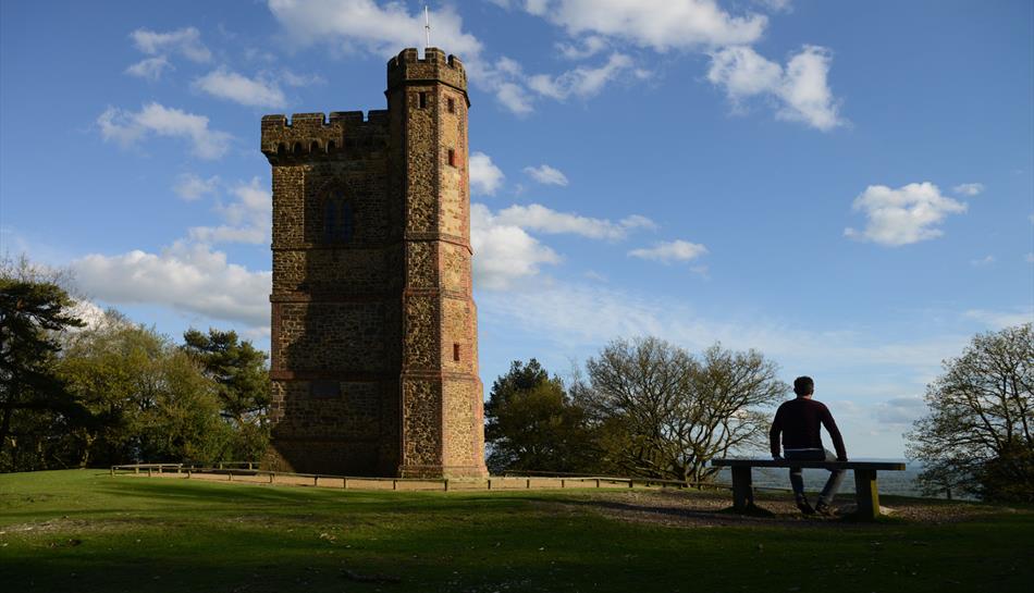 Leith Hill Tower - image National Trust