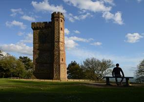 Leith Hill Tower - image National Trust