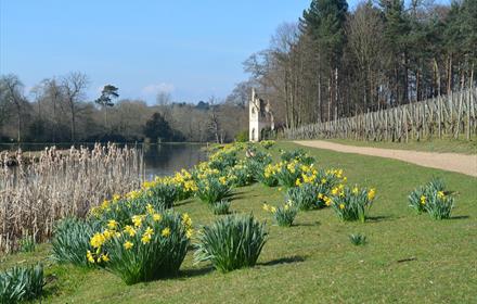 Painshill in Spring