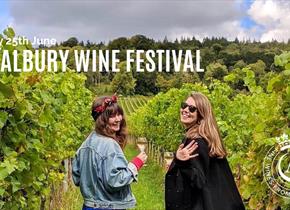 the albury wine festival