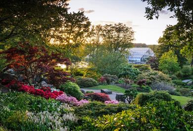 View across the Rock Garden towards the Glasshouse at RHS Garden Wisley. Credit: RHS / Jason Ingram