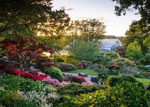 View across the Rock Garden towards the Glasshouse at RHS Garden Wisley. Credit: RHS / Jason Ingram