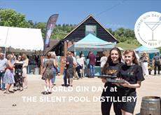 World Gin Day at the Silent Pool Distillery 