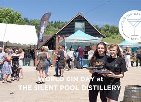 World Gin Day at the Silent Pool Distillery