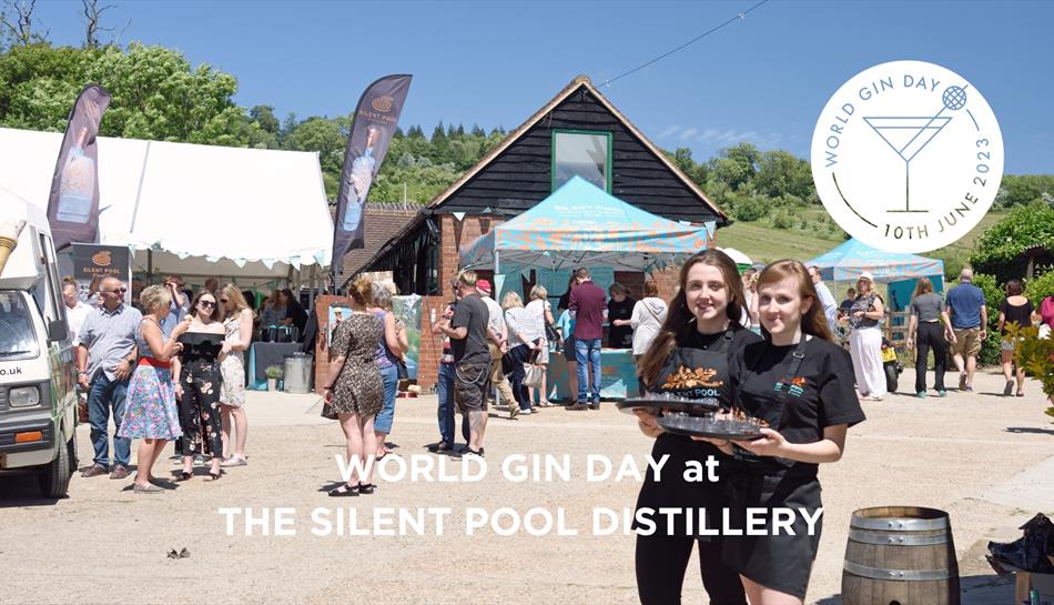 World Gin Day at the Silent Pool Distillery