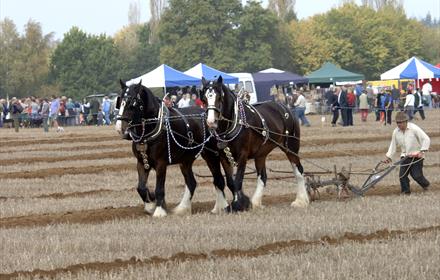 Horse Ploughing Match, Show & Country Fair