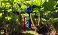 The Hannah Peschar Sculpture Garden - 

'Villosa' by Carole Andrews, in the Gunnera Manicata,