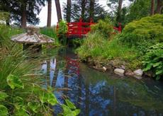Gatton's Japanese garden