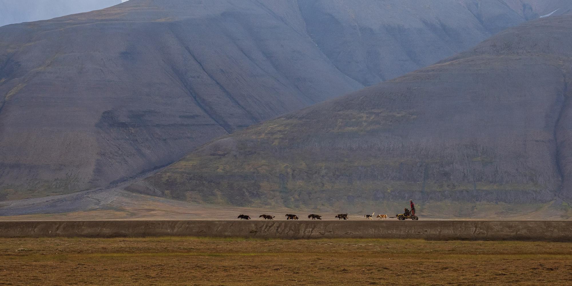 Dog sledding during the Svalbard fall