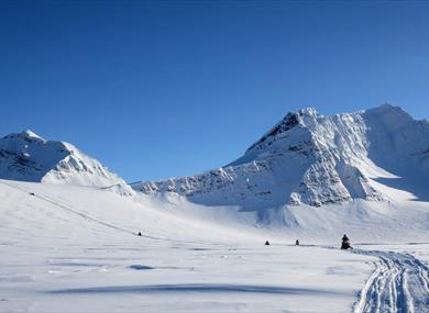 Tour-group driving snowmobiles