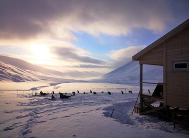 Wilderness cabin, sleddogs and parked sledges in a snowcovered landscape on a sunny springday