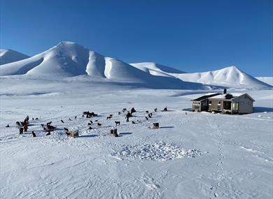 The cabin Reinheim in a snowy landscape, whit dogs resting outside. 