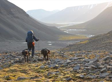 A person hiking with two dogs