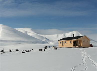 The cabin Reinheim in wintertime with dogs resting out front