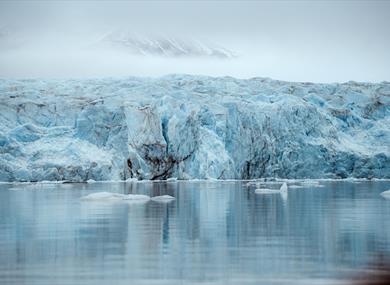 The edge of a glacies with ice flakes floating in the fjord.