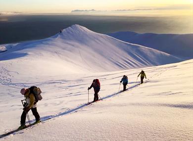 Four people walking in skis up a mountain in the sun