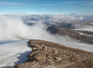 A dog standing on top of a mountain