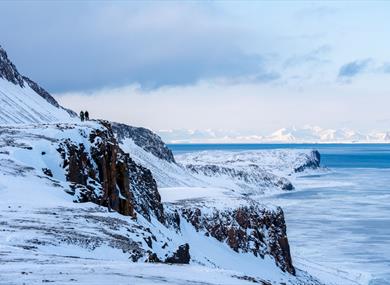 Snow-covered Arctic coastline with ice and mountains.