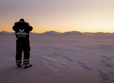 A Snowfox Travel guide stands on the snowy plains, looking out over the landscape at sunset.
