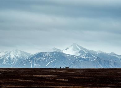 People walking in the horizon with large mountains in the background.