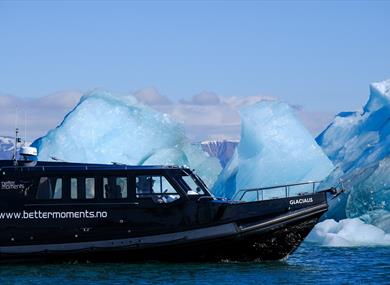 A boat sailing along a line of icebergs in a fjord