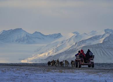 Dog sledding with a cart