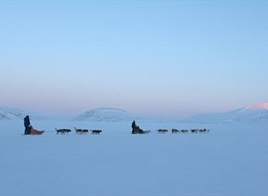 Sled teams out on a tour
