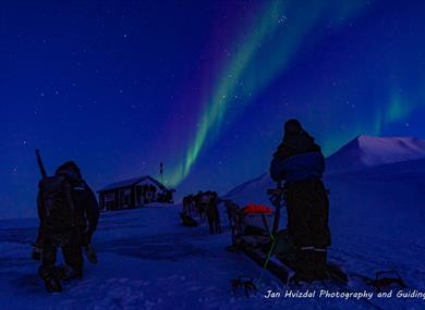 Sled team in the polar night