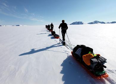 A tour group pulling sleds while skiing in a row