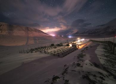 Commercial dogyard under a starry sky 