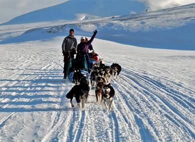 happy guests waving their hands during a dogsledding trip 