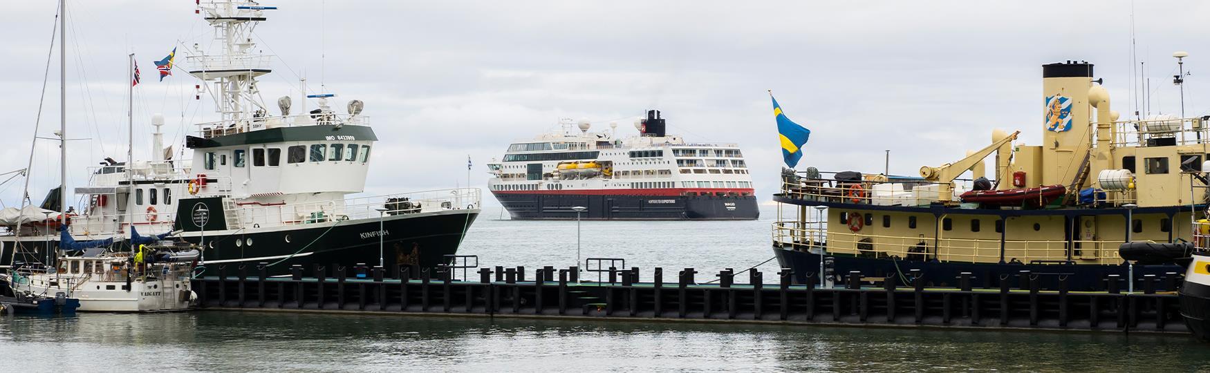 Several small and medium-sized boats tied up along a floating pier in the foreground, with a larger ship on a fjord in the background