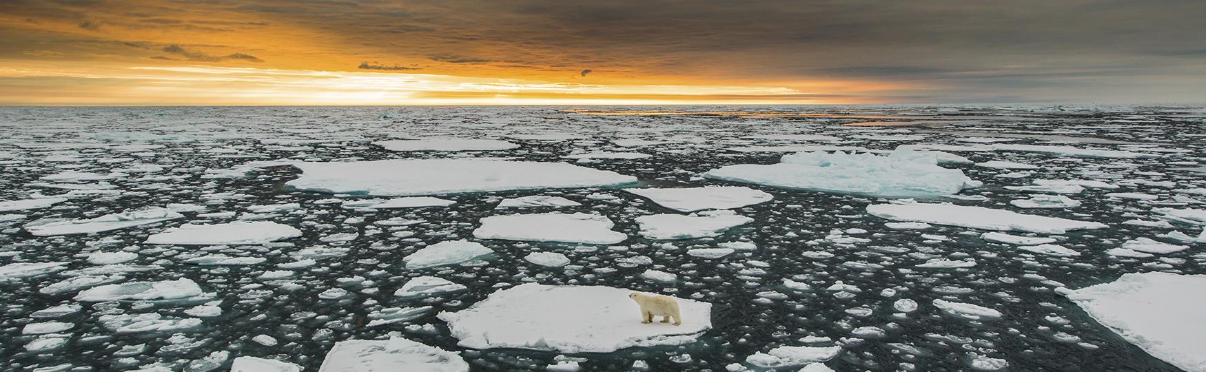 SVALBARD