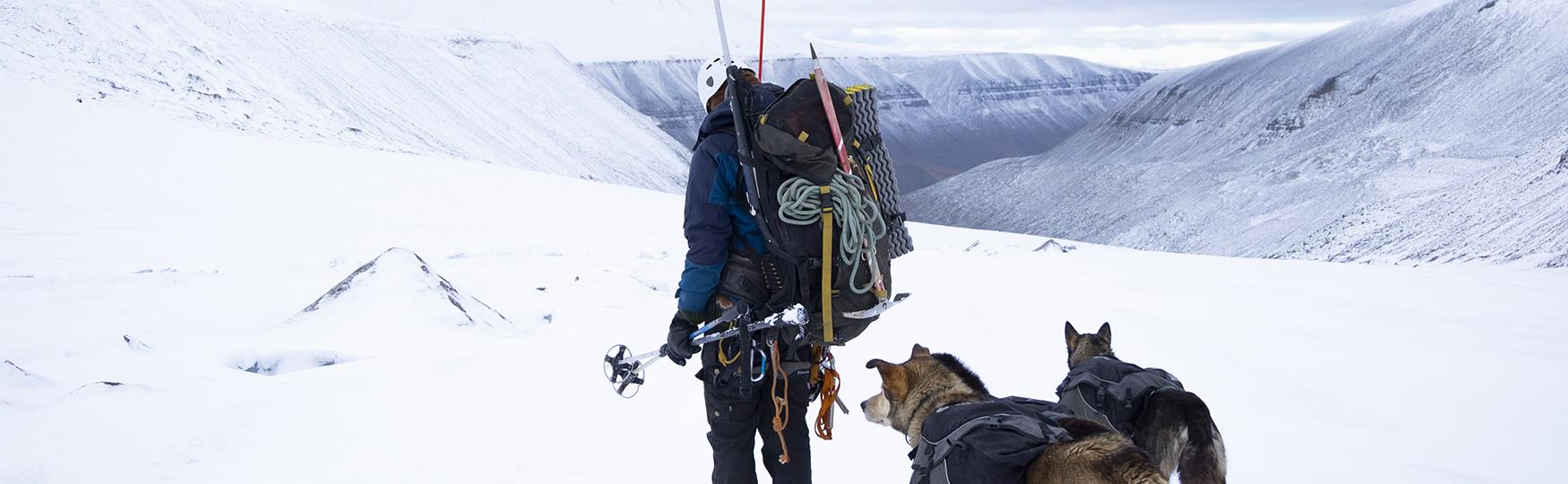 A person with a fully packed backpack standing on a glacier together with two dogs