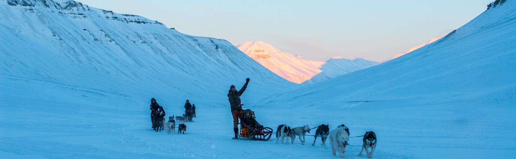 Svalbard Husky