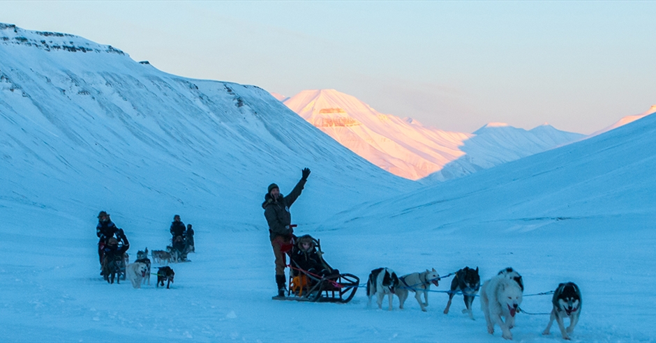 Svalbard Husky