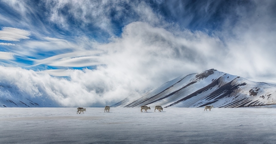 Nordenskiöldtoppen Trekking - Poli Arctici - Hiking in Longyearbyen ...