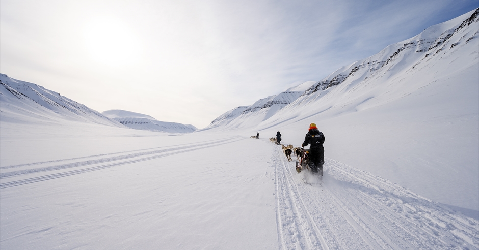 Trappers Trail - 5-day dog sledding expedition into the Arctic ...