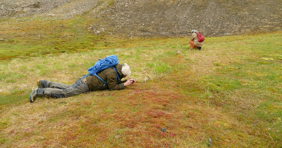 Image showcasing Reddit