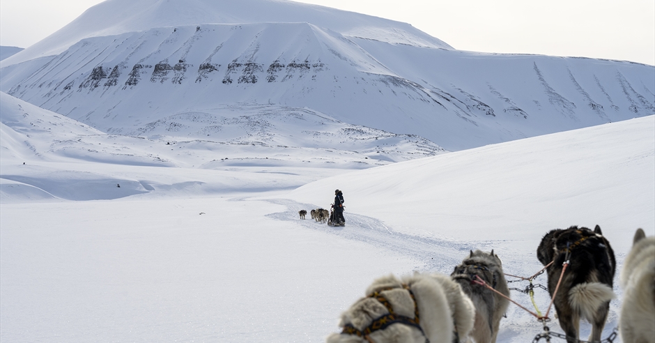 Trappers Trail - 5-day dog sledding expedition into the Arctic ...