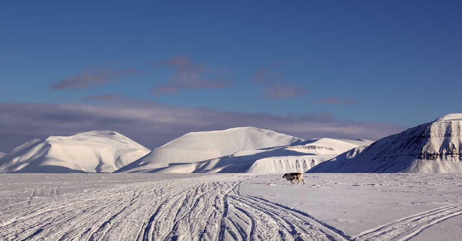 Reindalen & Van Mijenfjorden - A beautiful & more unknown route to ...