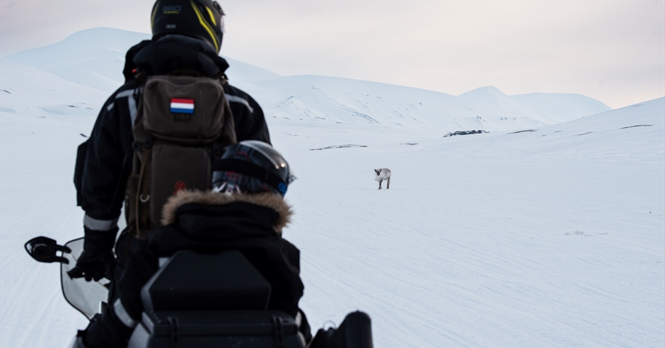 Reindalen & Van Mijenfjorden - A beautiful & more unknown route to ...